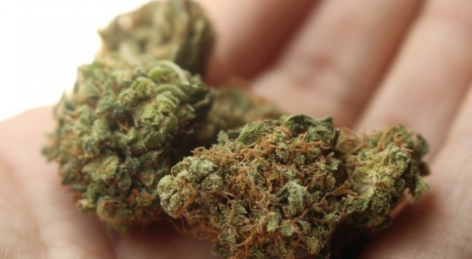 Митнически служители на ГКПП Гюешево са задържали 20 674 кг марихуана
