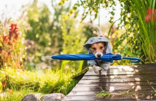 През следващото денонощие от запад на изток през страната ще