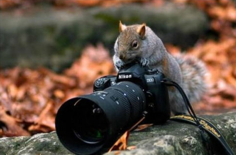 Фотоконкурс на тема Враца LIVE ще се проведе във Враца