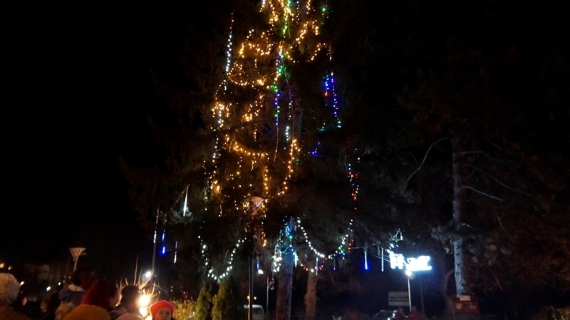 С коледно тържество бяха запалени светлините на елхата в Археологически