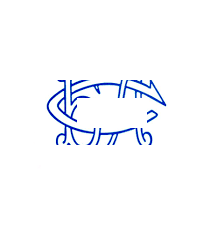 Районната колегия на Българския лекарски съюз във Враца се включи