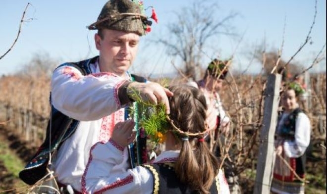 Мездренското село Моравица се готви за Трифон Зарезан
