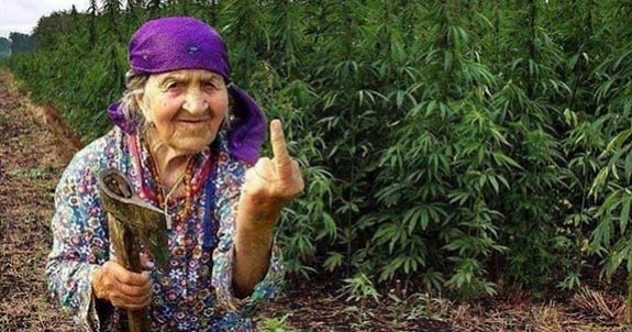 83 годишна жена е задържана в Кюстендил заради притежание на наркотични вещества