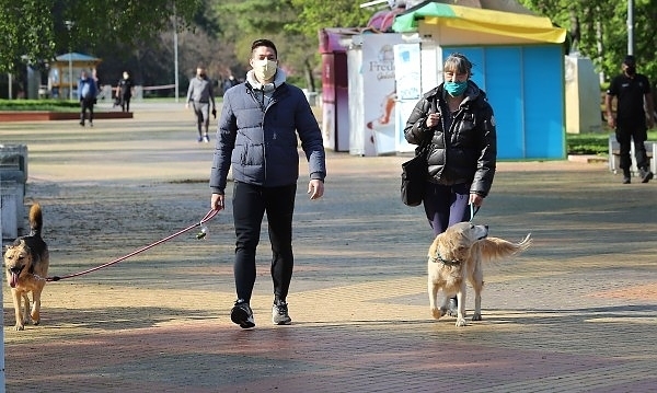 Община Бяла Слатина информира собствениците на домашни любимци кучета да