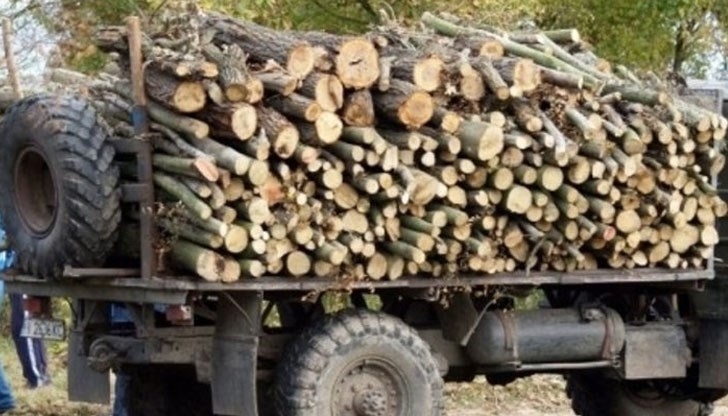 Полицията е спряла камион с незаконни дърва на път в