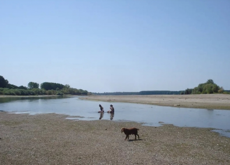 Нивото на река Дунав продължава да е критично ниско и