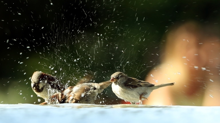 Днес ще преобладава слънчево време Около и след обяд над