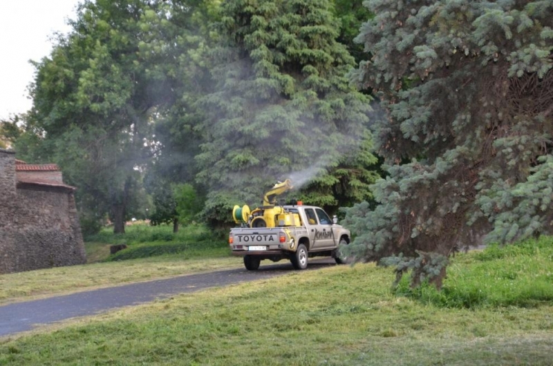 Община Видин предприема извънредна обработка срещу комари Причината е по голямата популация на