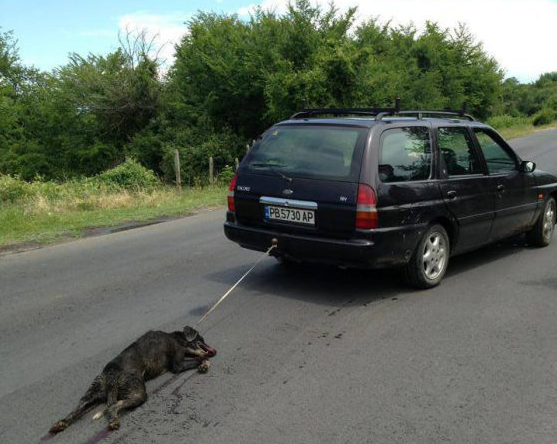 Задържаха мъж влачил с автомобила си куче в Костенец съобщиха
