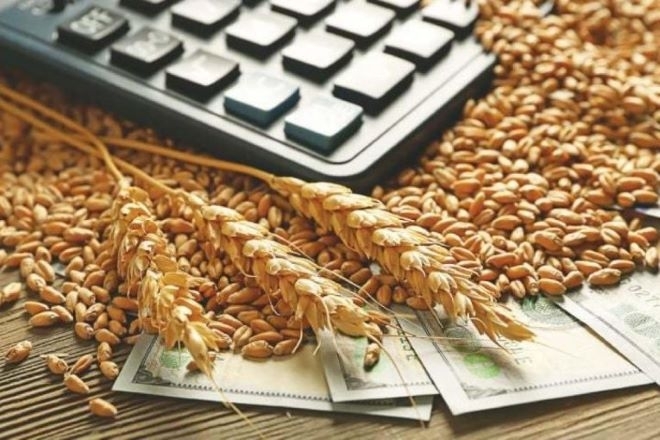 Цените на основните зърнени стоки по световните борсови пазари са без значителни