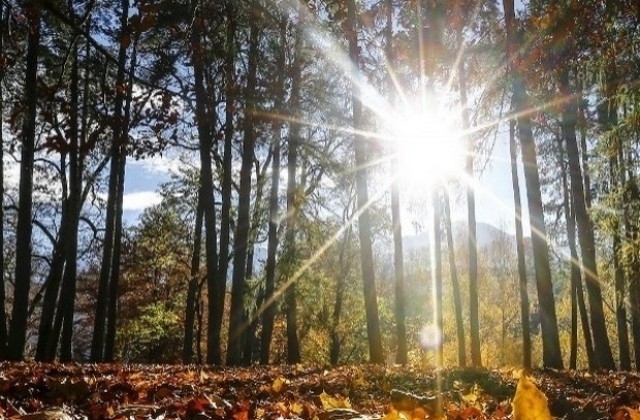 Слънце разкъсва ноемврийските облаци от утре