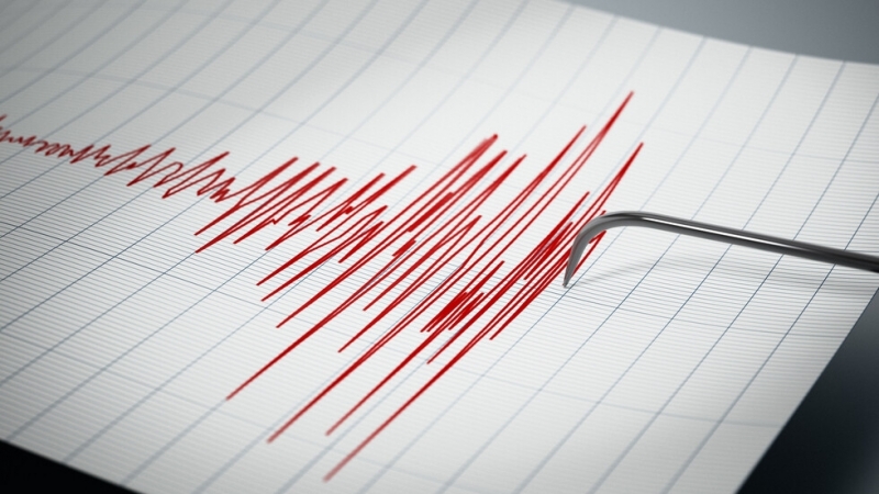 Земетресение от 4,2 по Рихтер е регистрирано в Централна Гърция.