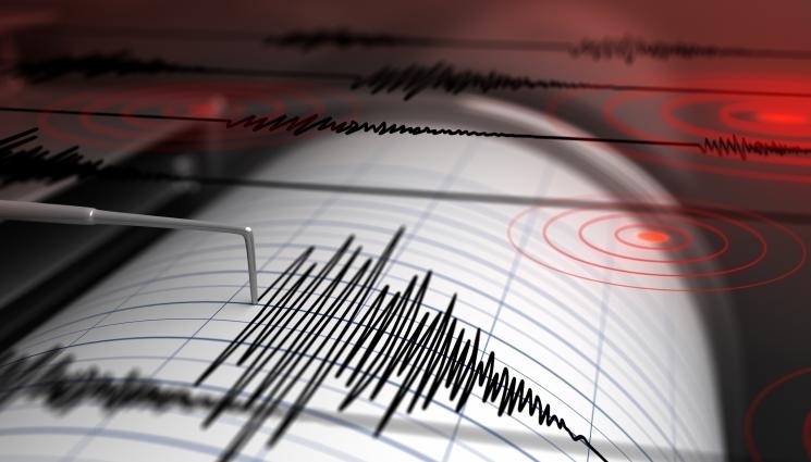 Земетресение с магнитуд 4 6 е регистрирано в близост до град Бузъу Румъния сеизмогенна