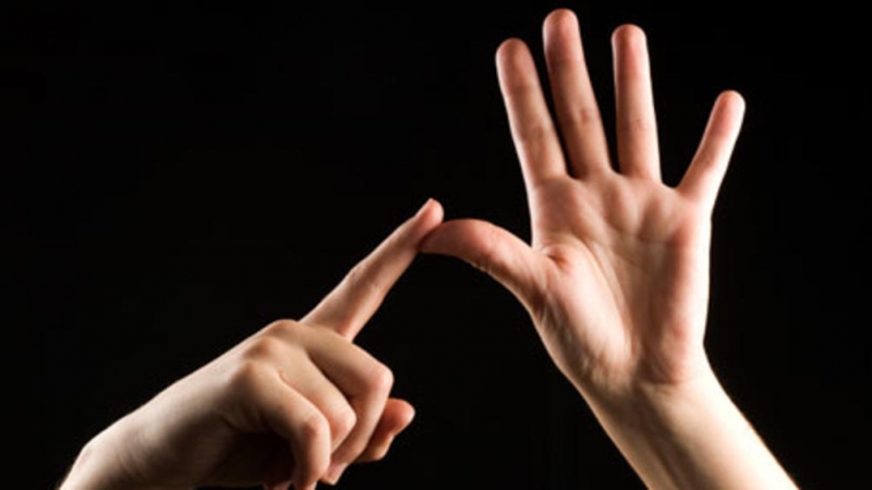 Жестовият език трябва да се признае като официален език в