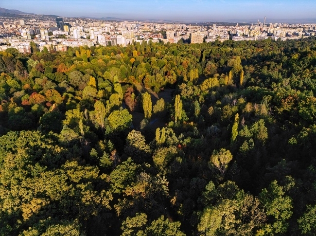 Днес още сутринта облачността от северозапад ще започне да се