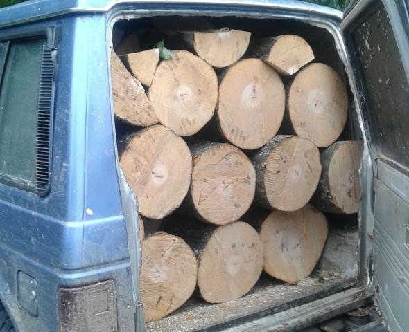Полицаи спипали бракониер натоварил Рено то си с 3 кубика дърва