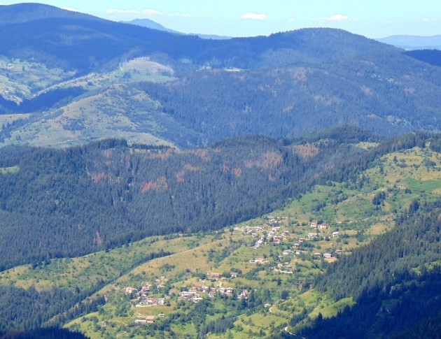 77 годишен мъж е загинал при инцидент в местността Нешковци близо