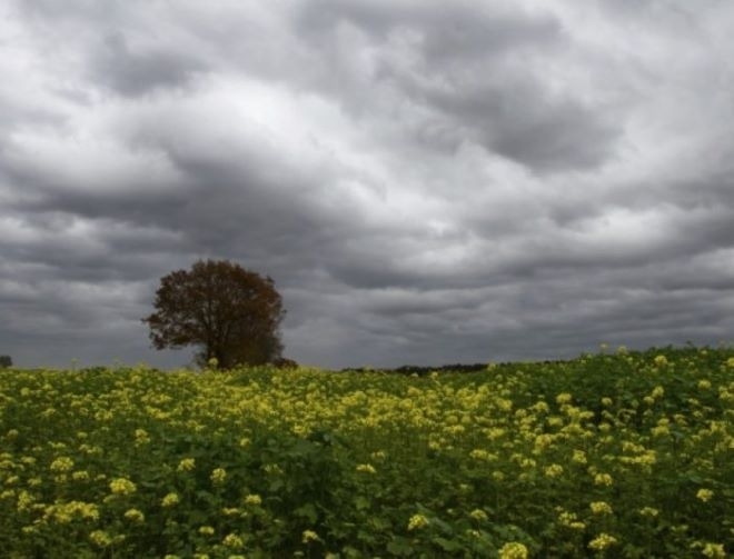 В събота валежите ще продължат съобщиха от Националния институт по метеорология