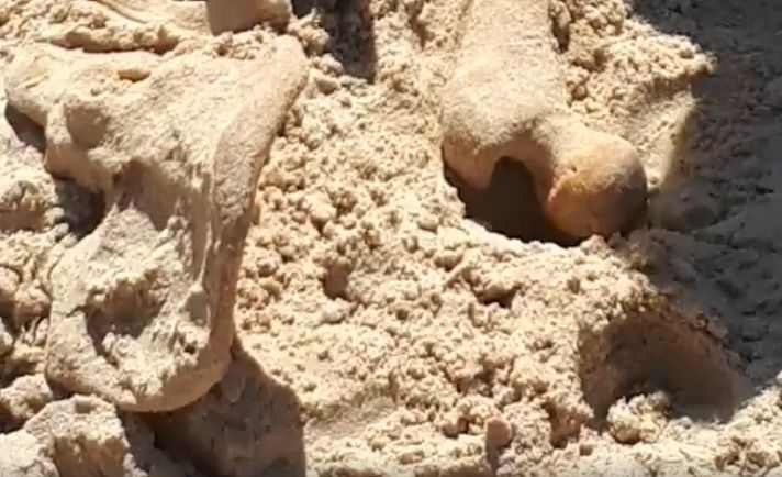 Изровените кости от деца на плажа може да са част