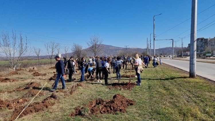 Продължава залесяването в ж.к. „Сениче“, още 5 имота ще бъдат облагородени