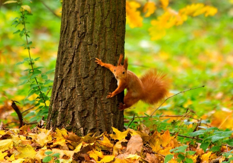 Ето какво време ни очаква през следващите дни