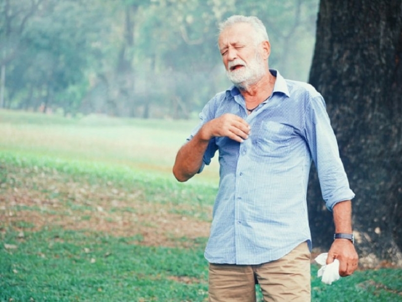 Високите летни температури в Германия са причина за хиляди свързани