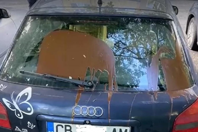 Заляха с боя колата на мъж от Монтана съобщиха от