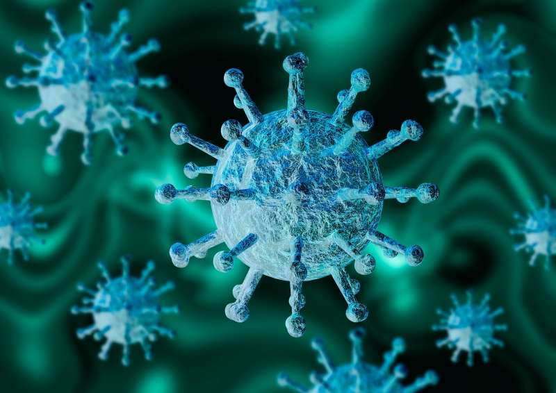 2689 са новодиагностицираните с коронавирусна инфекция лица при направени общо