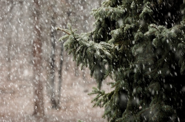 Днес ще нахлува студен въздух и температурите ще се понижават