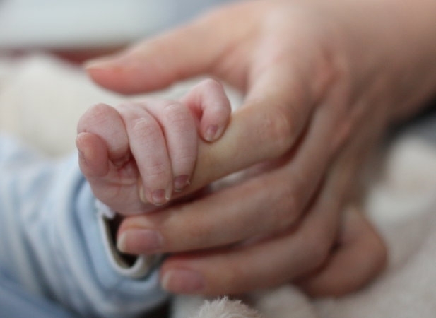 Ново проучване показва че антитела срещу COVID 19 има в млякото