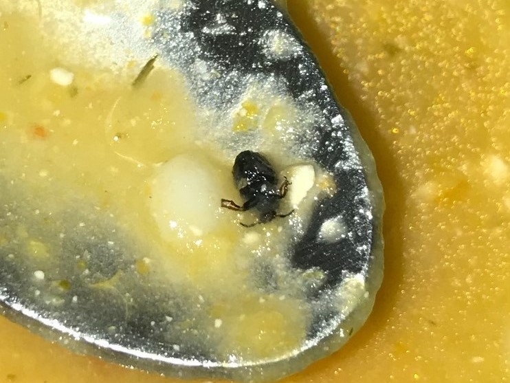 Майки недоволстват от детската млечна кухня в Монтана научи агенция