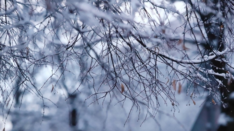Редица врачански села са без ток заради падналото количество сняг