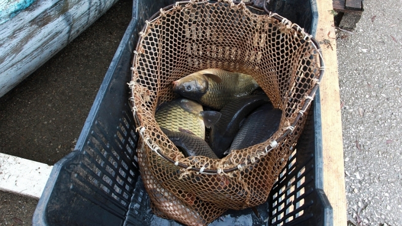 Инспекторите от Българска агенция по безопасност на храните БАБХ са