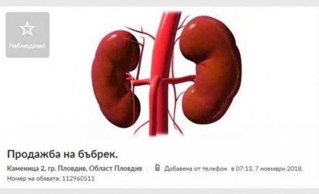 На стряскаща обява за продажба се натъкна читател който алармира
