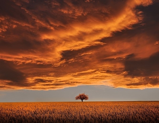 Времето в страната ще остане без съществена промяна В равнините