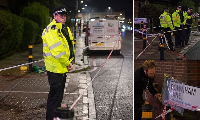 Полицията в Лондон задържа 14 годишен по подозрения в убийството на