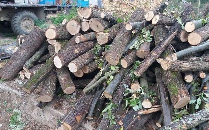 Полицията е открила складирани незаконни дърва в къща в Бяла