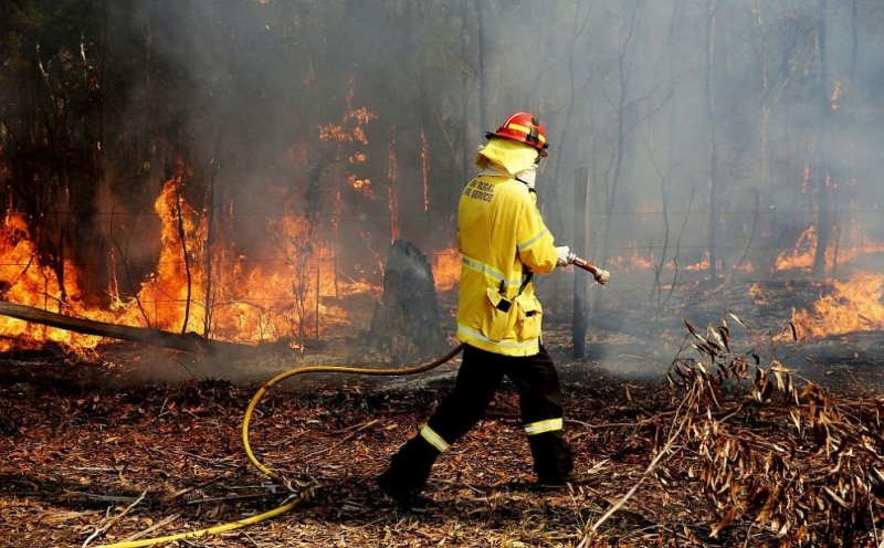 Десетки пожари в храсти и гори са извън контрол в Източна Австралия