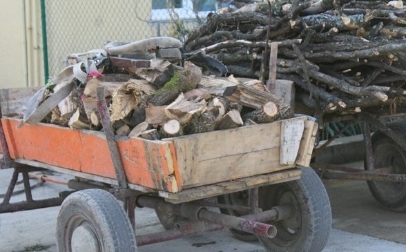 Полицията е заловила мъж да извършва незаконна сеч в парк