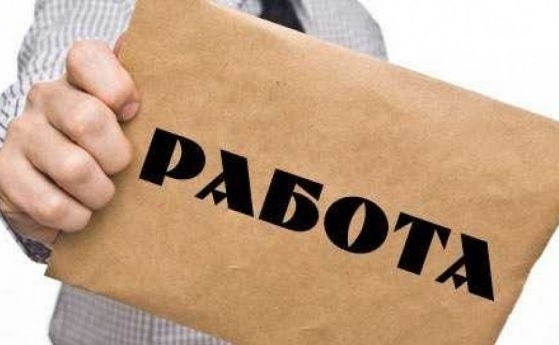 От Агенцията по заетостта обявиха 71 свободни работни места в