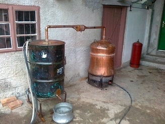 В хода на проведена вчера специализирана полицейска операция по линия