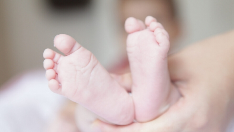 Държавната агенция за закрила на детето заедно с Министерството на