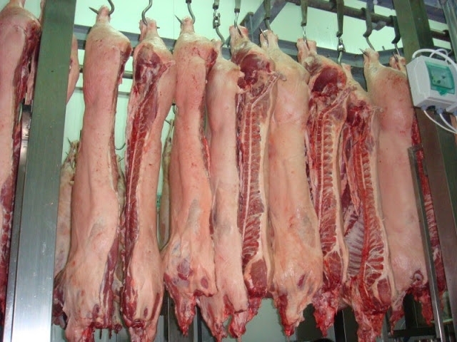 Зверски убити биволици ужасиха жителите на врачанското село Върбица научи