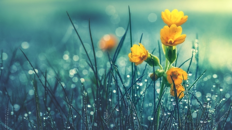 Жълт код за обилни валежи е сила за 16 области