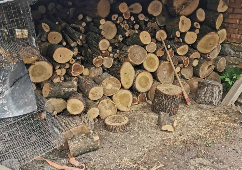 Униформени намериха незаконни дърва в дома на видинчанин съобщиха от
