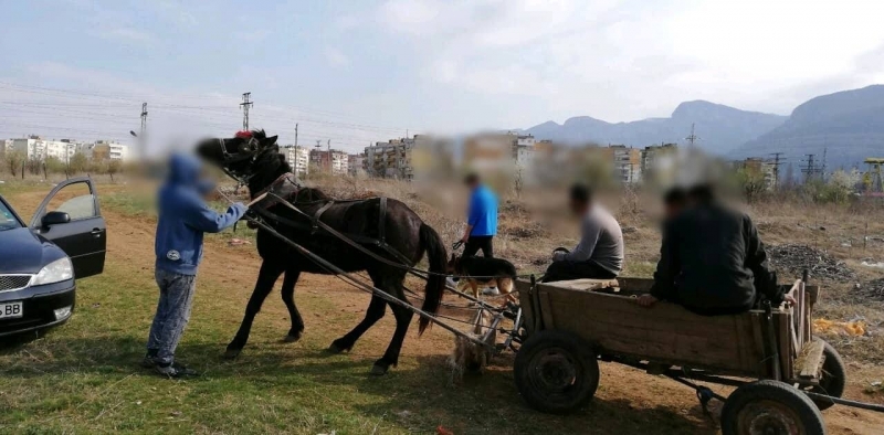 Служители на звено Инспекторат към община Враца съвместно с екип