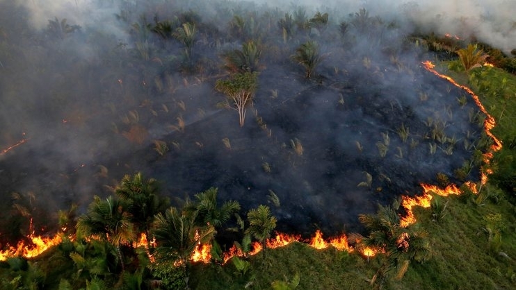 Пожарите в Амазония вече не са само проблем на Бразилия