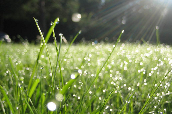 Днес преди обяд ще бъде предимно слънчево След обяд отново