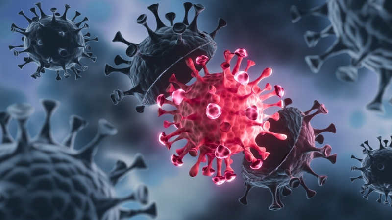 Хърватия потвърди първи два случая на новия щам на коронавируса