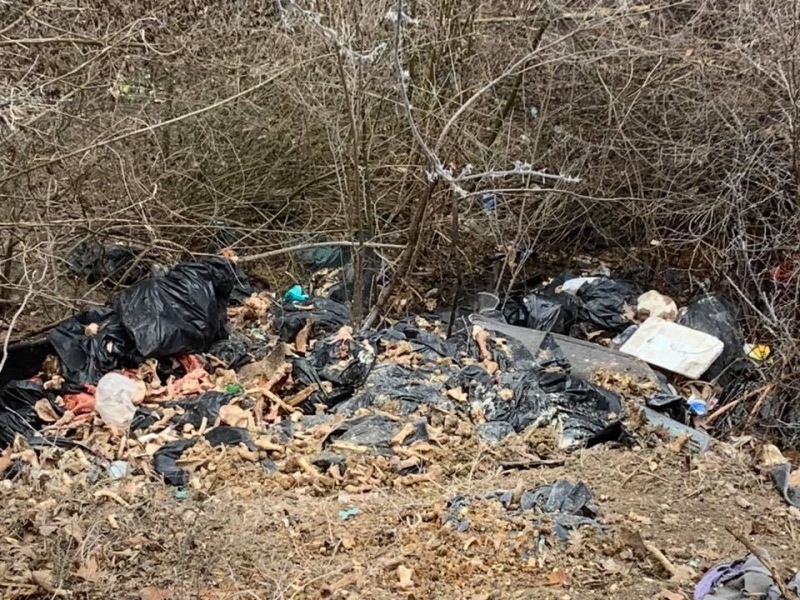 До края на деня ще започне премахването на останките от